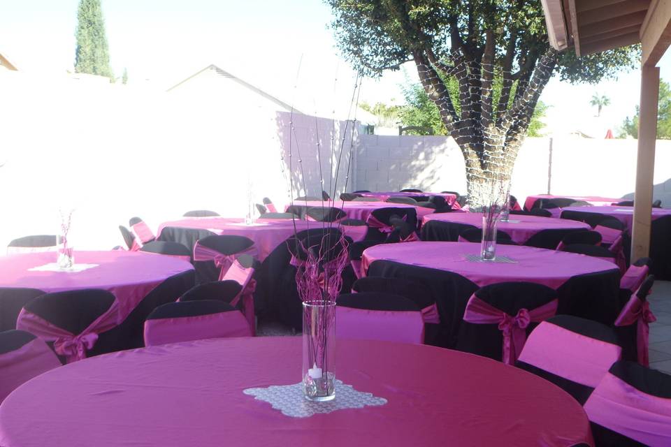 Party Rentals AZ