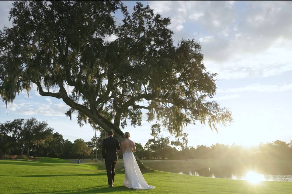 TPC Tree with Golden Hour