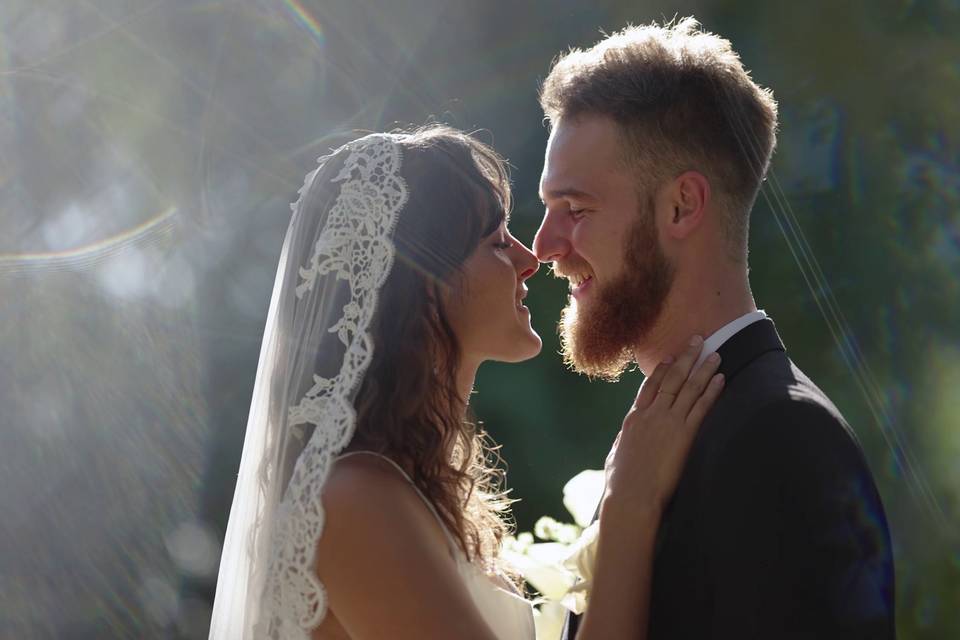 Beautiful Sun lit Photo