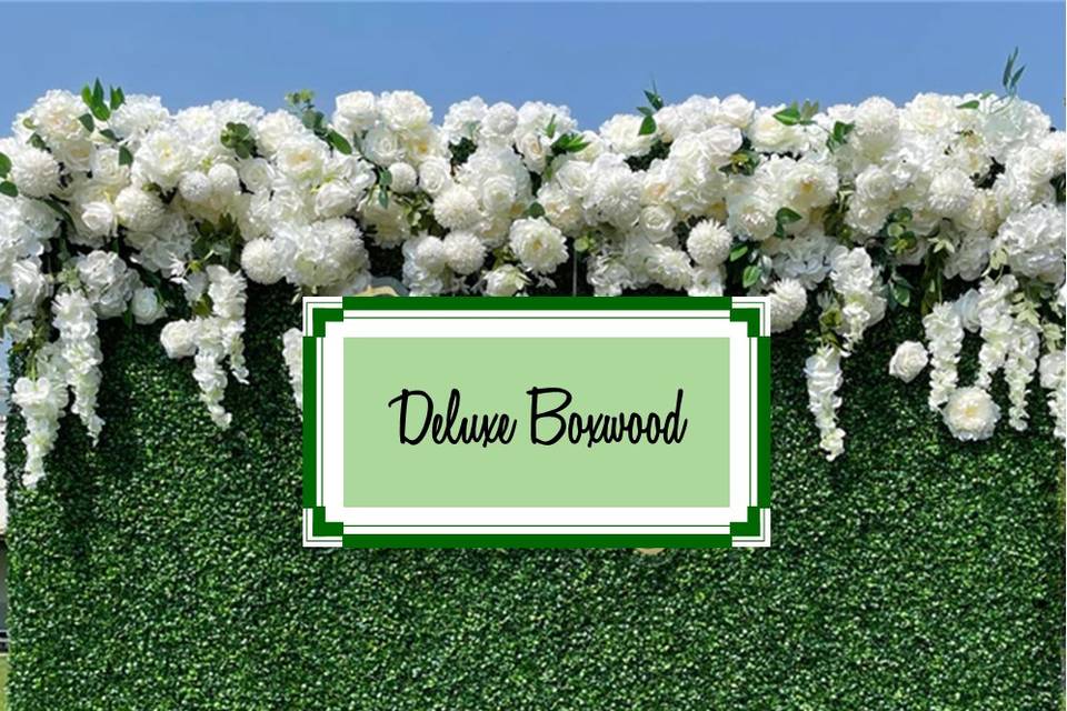 Deluxe Boxwood Wall