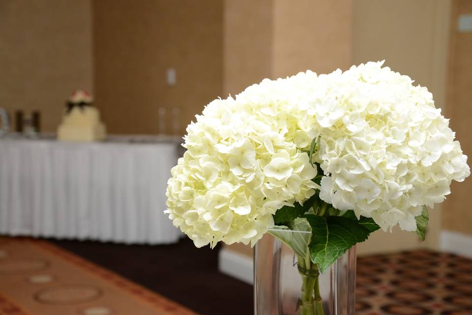 D.Hunter Events
