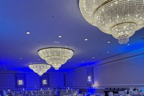 Elegant but Fun