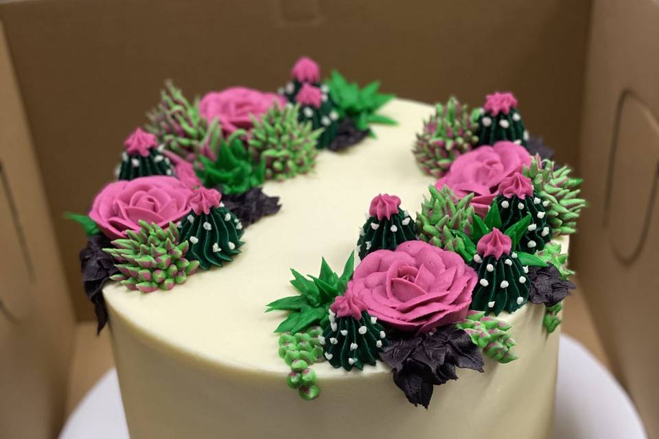 Buttercream succulents