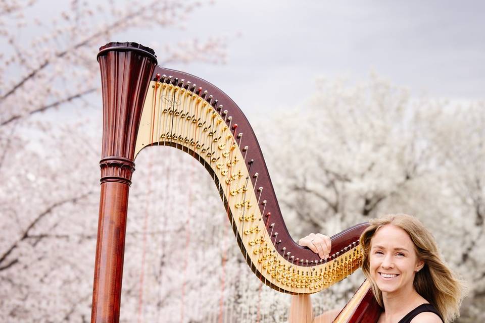 Salt Lake Harpist