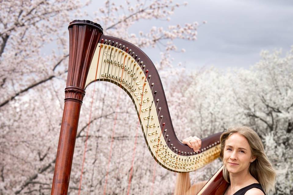 Classical Harp at the Capital