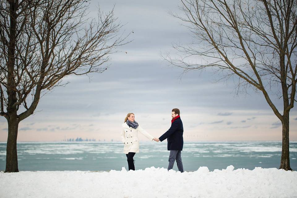 Fort Niagara Engagement