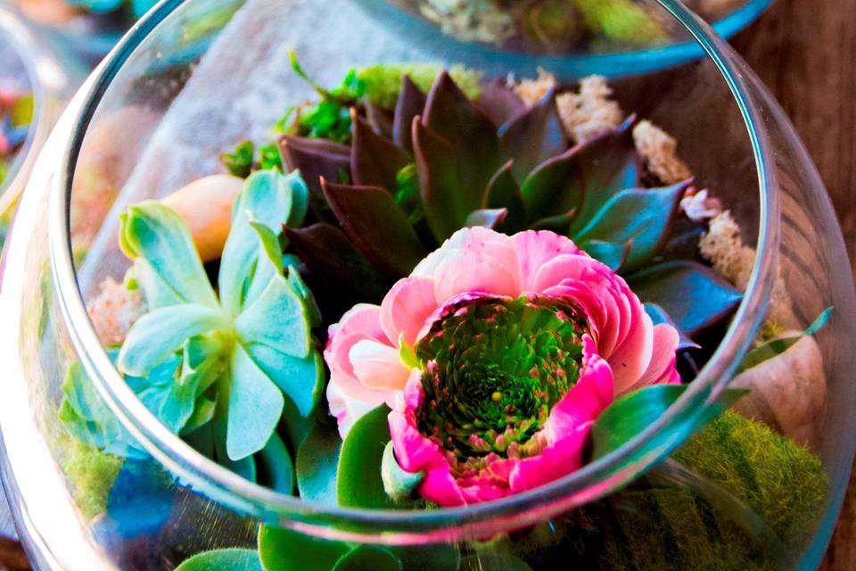 Flowers in a bowl