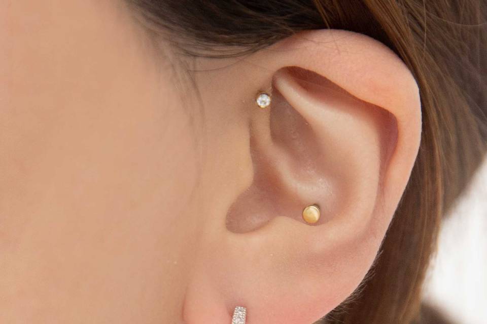 Classic earrings