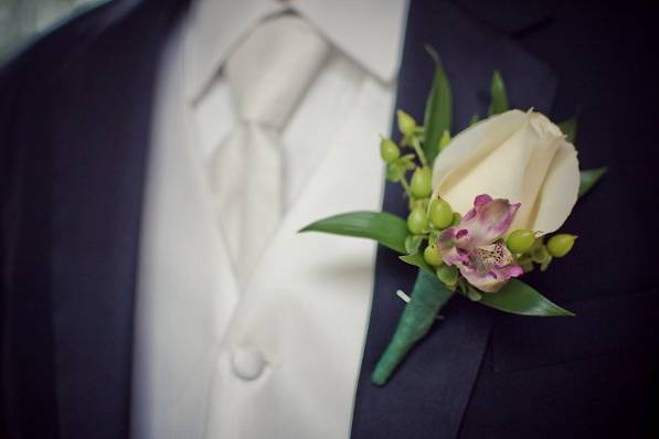 rebecca ward photography