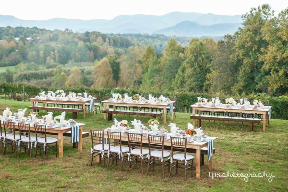 Table setting