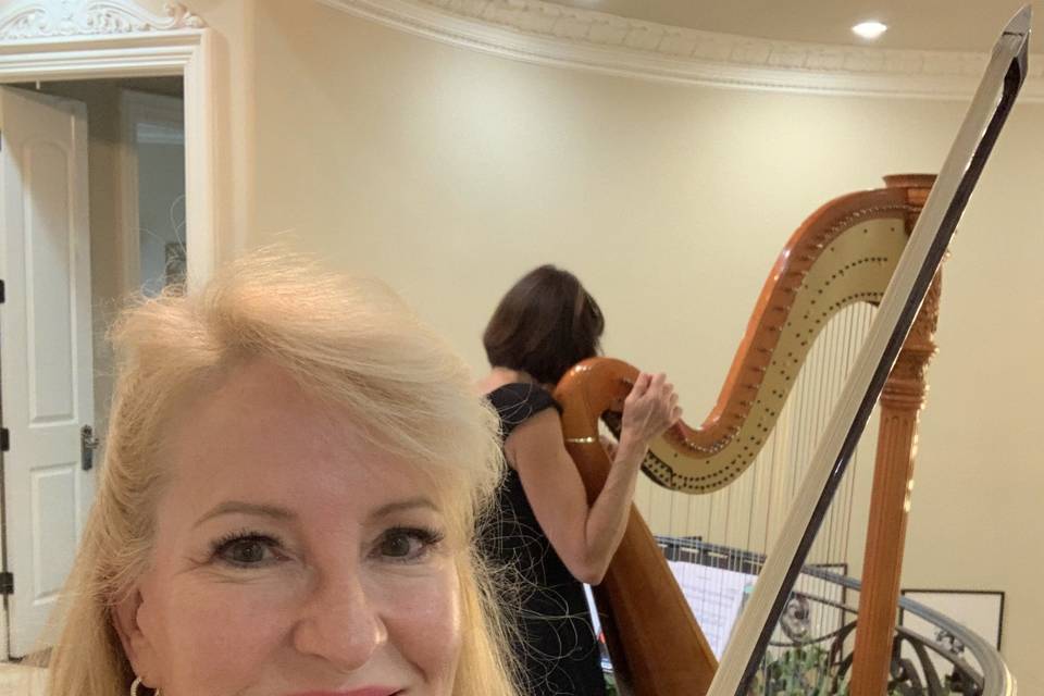 Violin and harp wedding