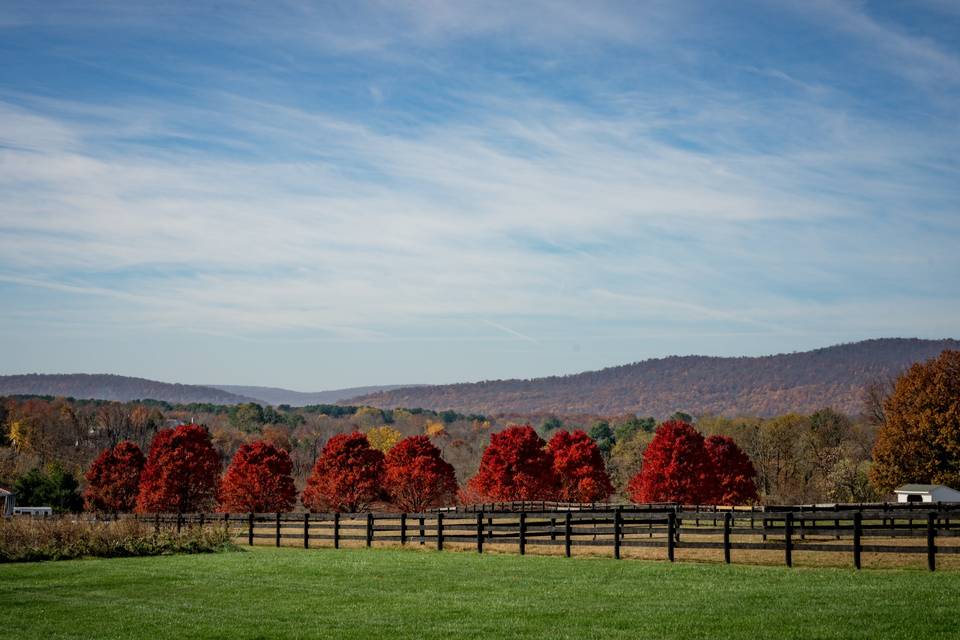 Vibrant Virginia Landscape