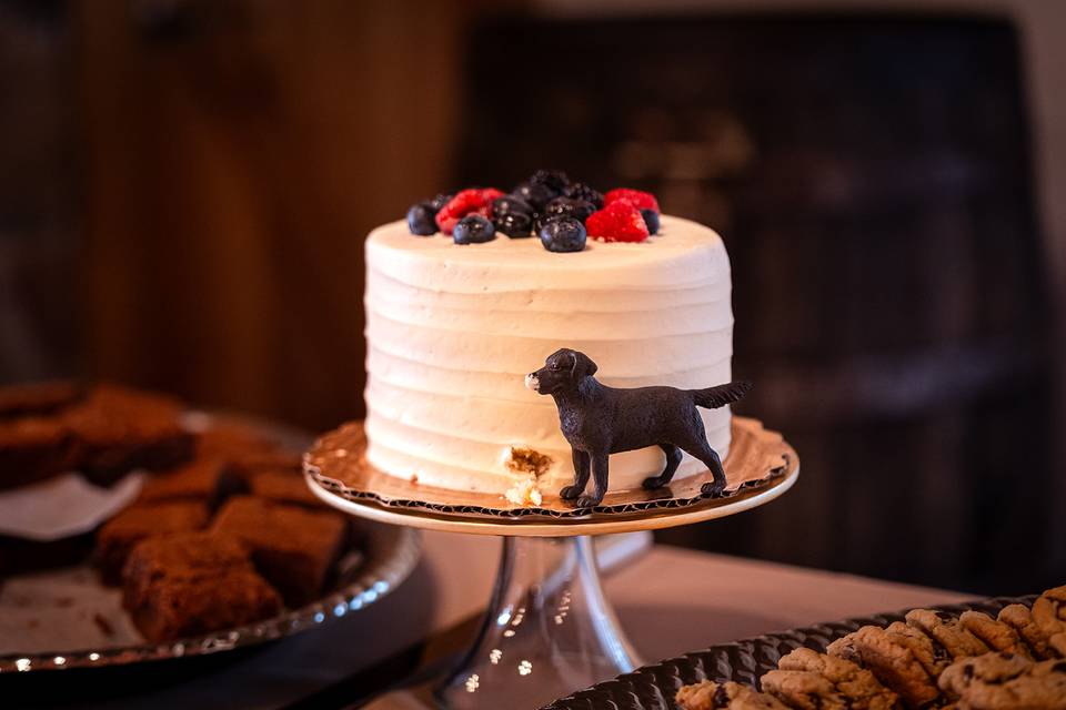 Sweet Bride & Groom Cake