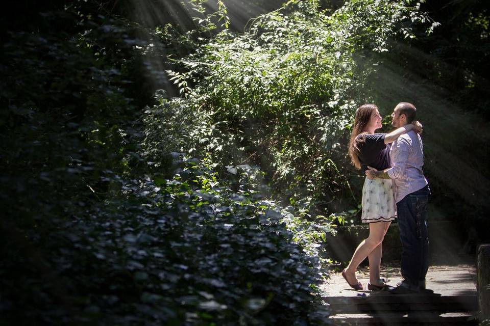 Glendinning Rock Garden