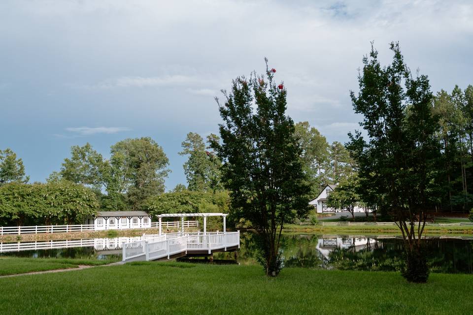 Fields 1