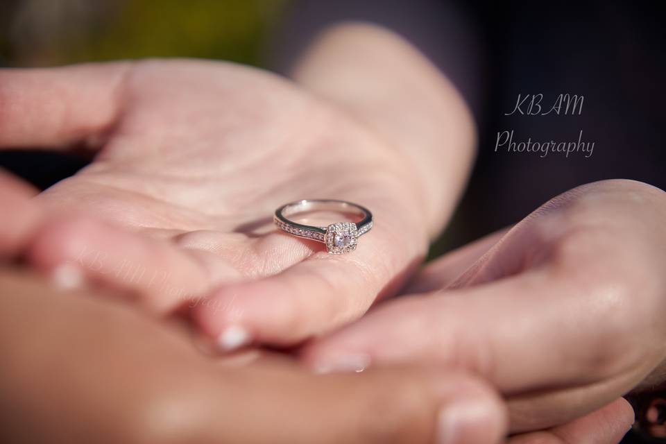 Engagement Photography