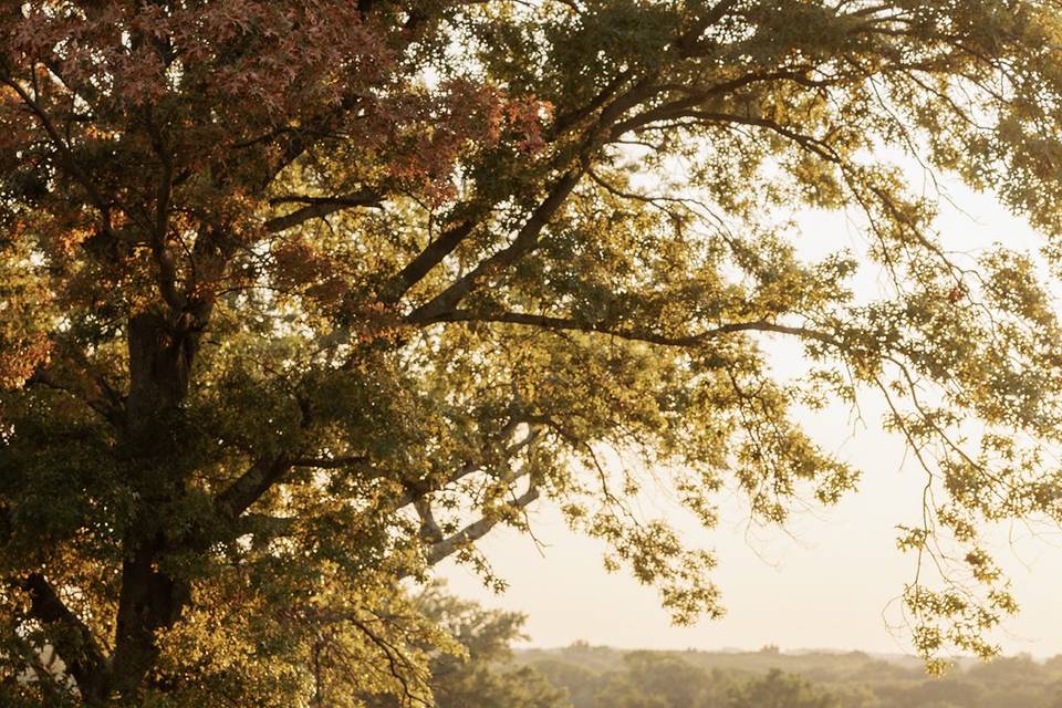 Navesink country club wedding