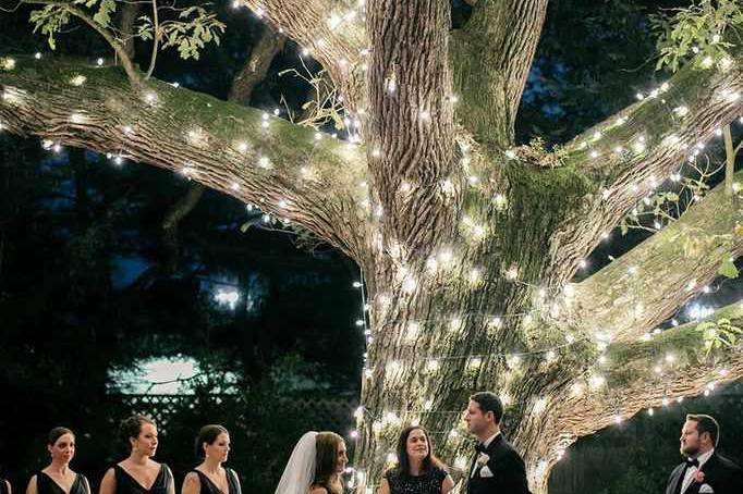 Wedding tree decor