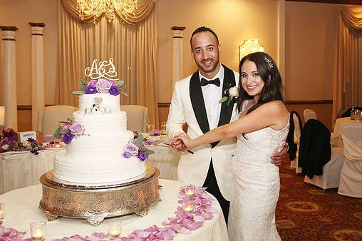 Cake Cutting