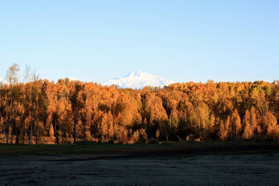 Lodge lawn in the fall with Mount Denali