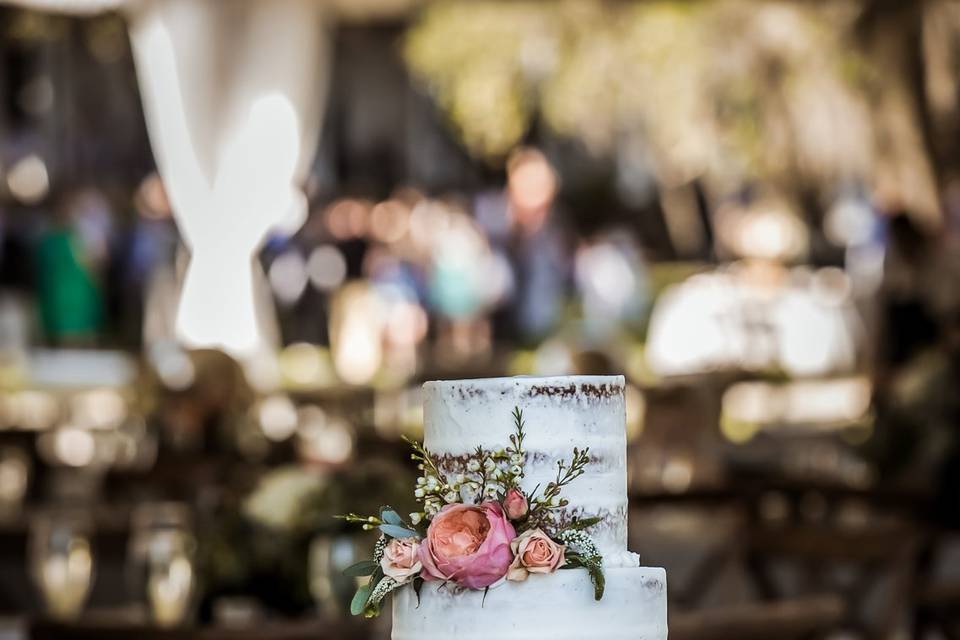 Naked wedding cake