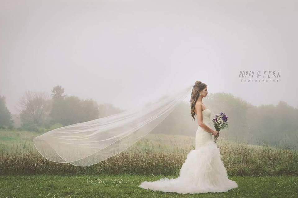 Bride and bridesmaids