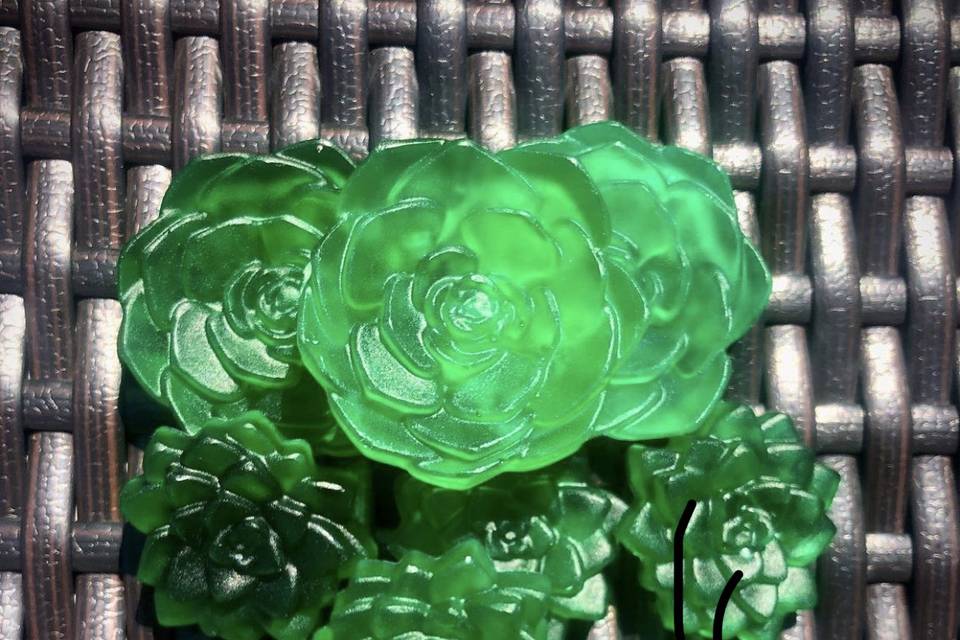 Succulent soap