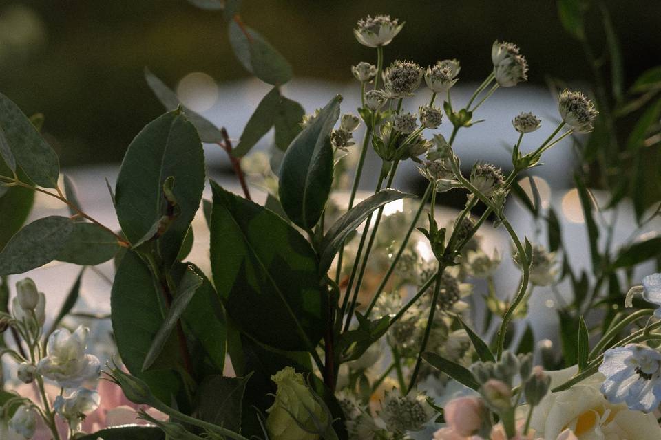 Table flowers