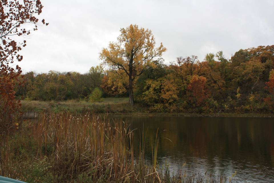 TimberRidge Adventure Center