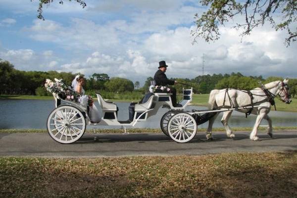 Limo Carriage