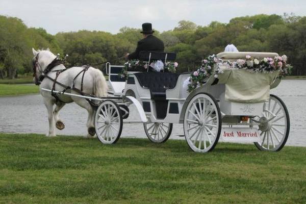 Classic Carriage Company