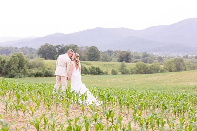 The Barns of Madison County