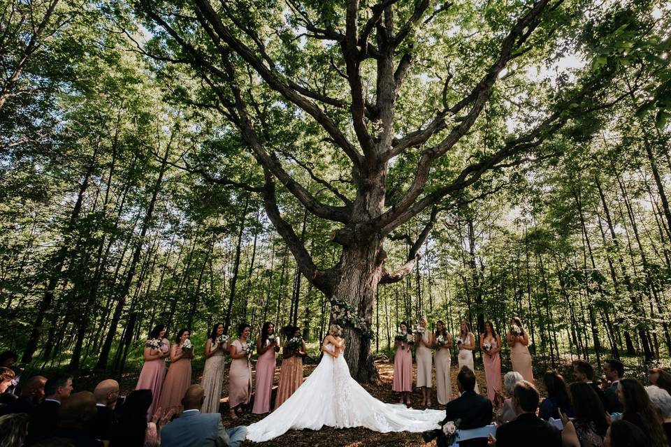 Ceremony Tree