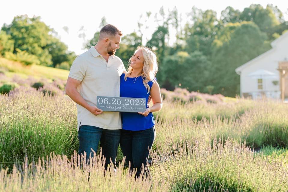 Lavender field