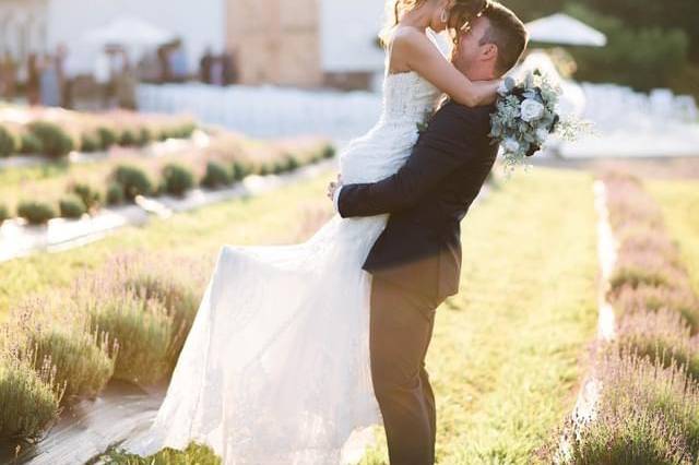 Lavender field hugs