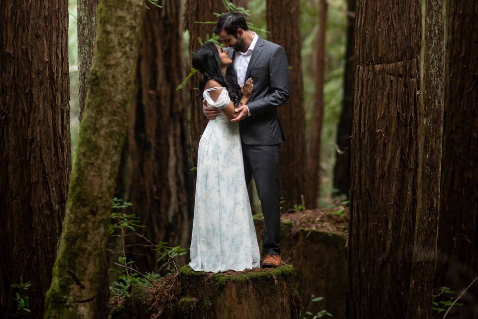 Engagement Photos in Redwoods
