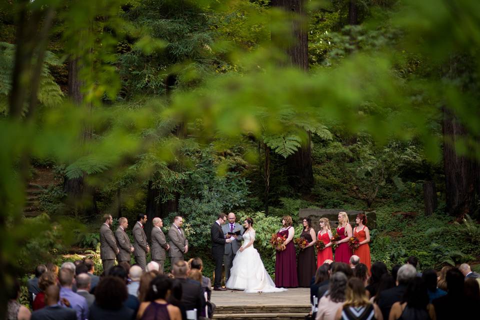 Wedding Ceremony