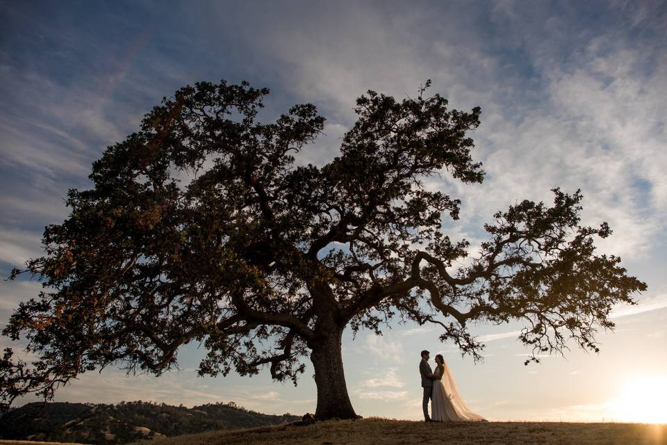 Wedding couple portraits