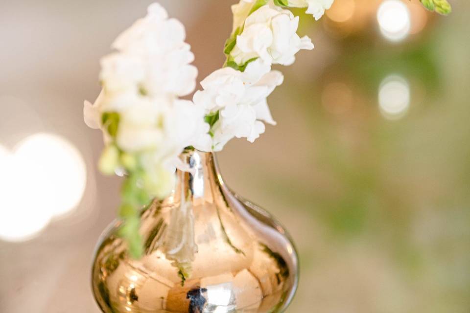 Wedding E + D