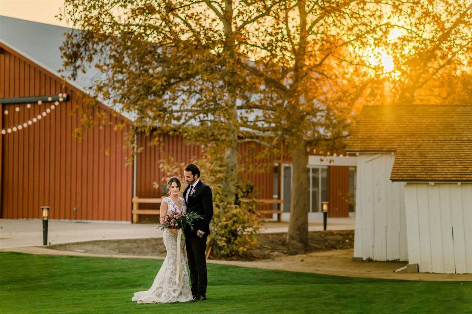 Lawn at sunset