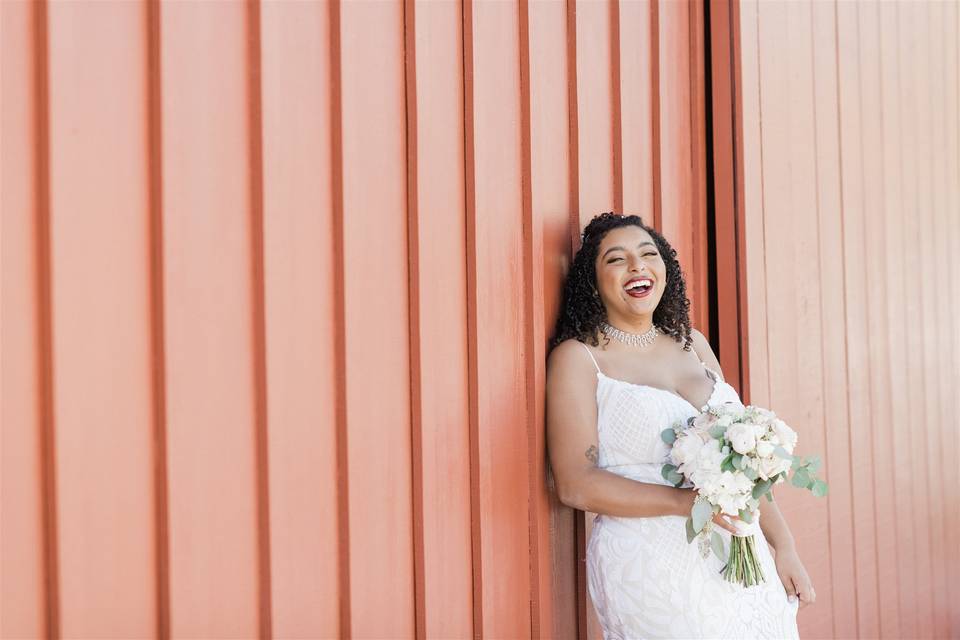 Red Barn Backdrop