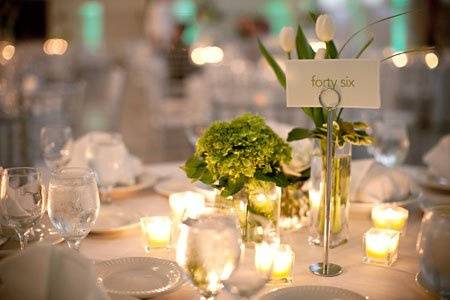 Elegant collection of mini green hydrangea and white tulips.