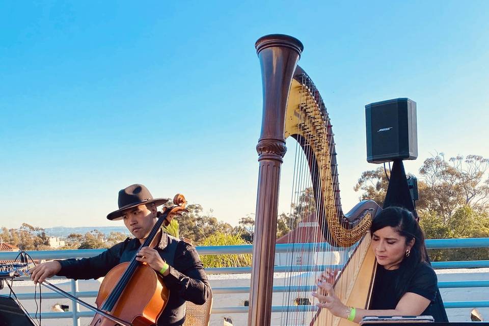 Cello and Harp Duo