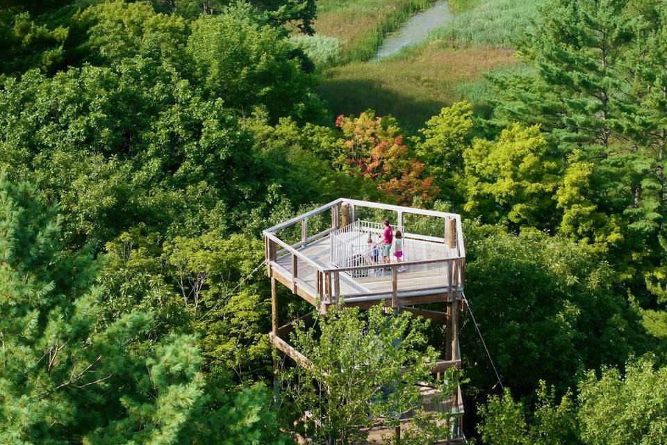 View of the Tower from Above