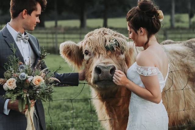 EMILY BYRD PHOTOGRAPHY