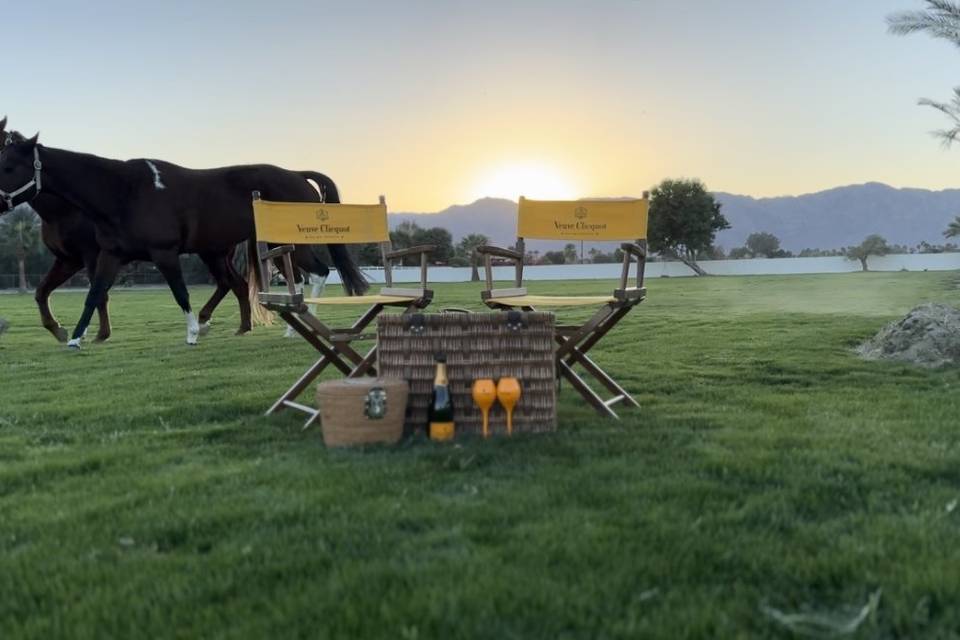 Polo field picnic set up