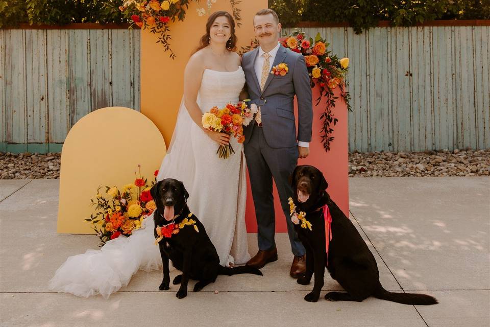 Mojave East