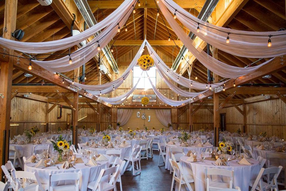 Reception setup