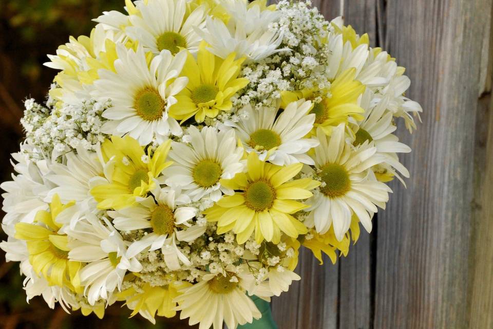 Teri Isenberg Photography