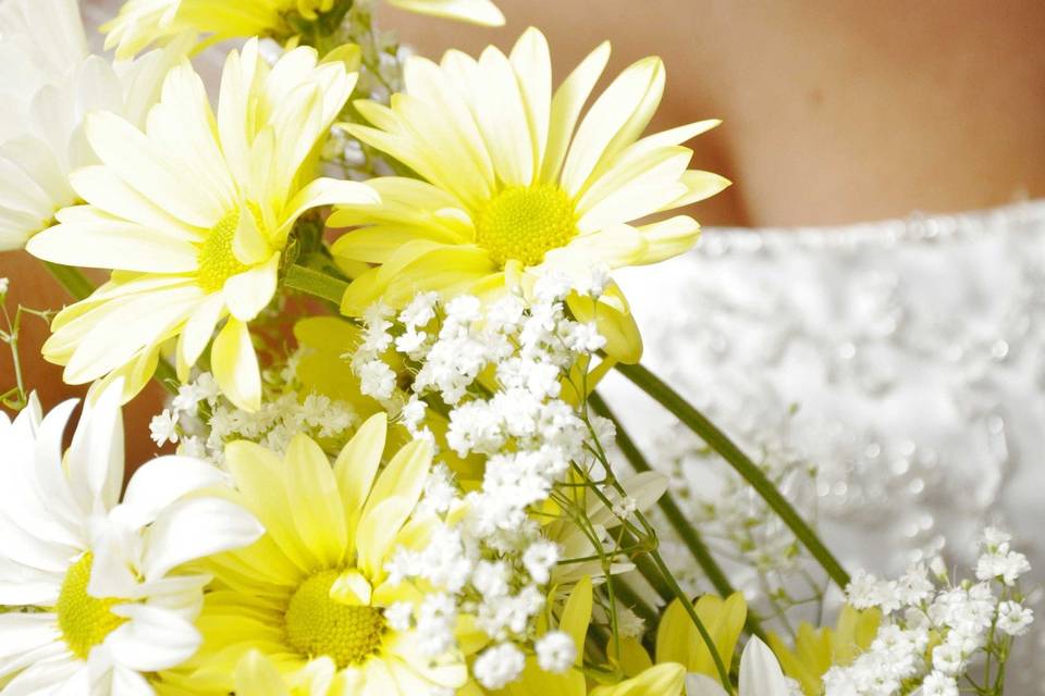 Teri Isenberg Photography